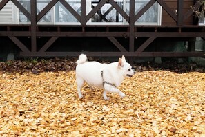 Pet-friendly - rinne 2nd living Nasu Garden III (Nasu)