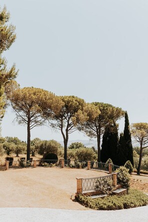 A landscaped garden with a paved walkway, mature trees, and a stone fence.