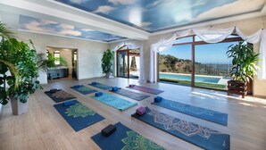 A spacious room with large windows, yoga mats, and potted plants.
