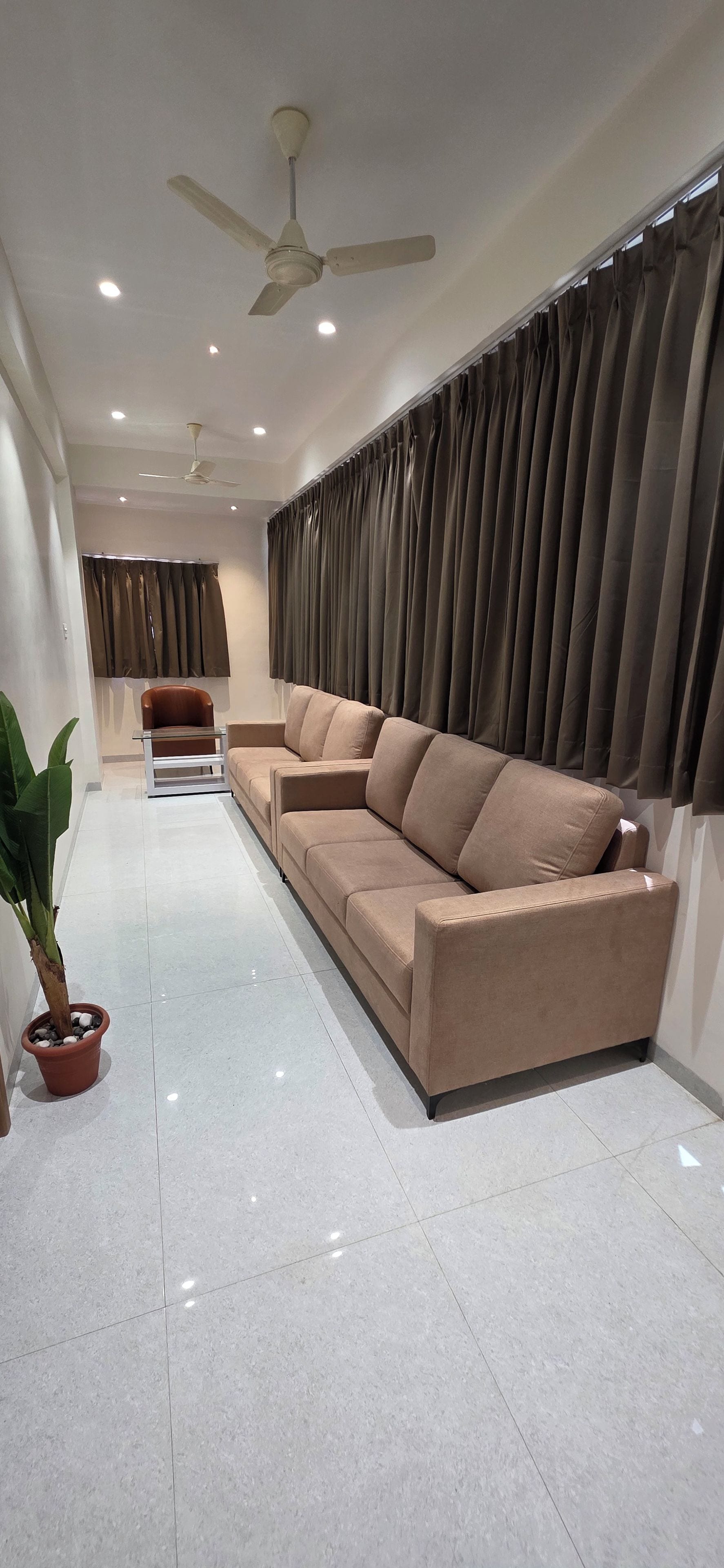 A modern living room with a sofa, curtains, a ceiling fan, and a potted plant.