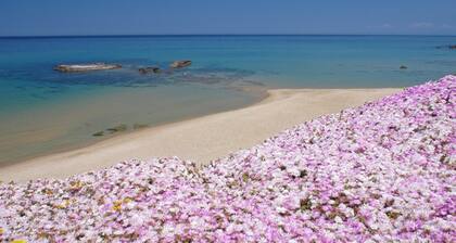 Vista jument, ampio terrazzo et aria condizionata