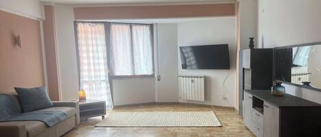 A living room with a sofa, a TV, a radiator, and a window with curtains.