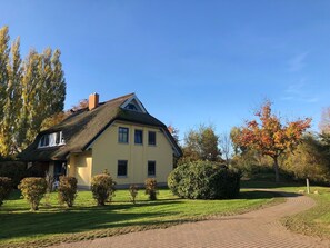 Esterni