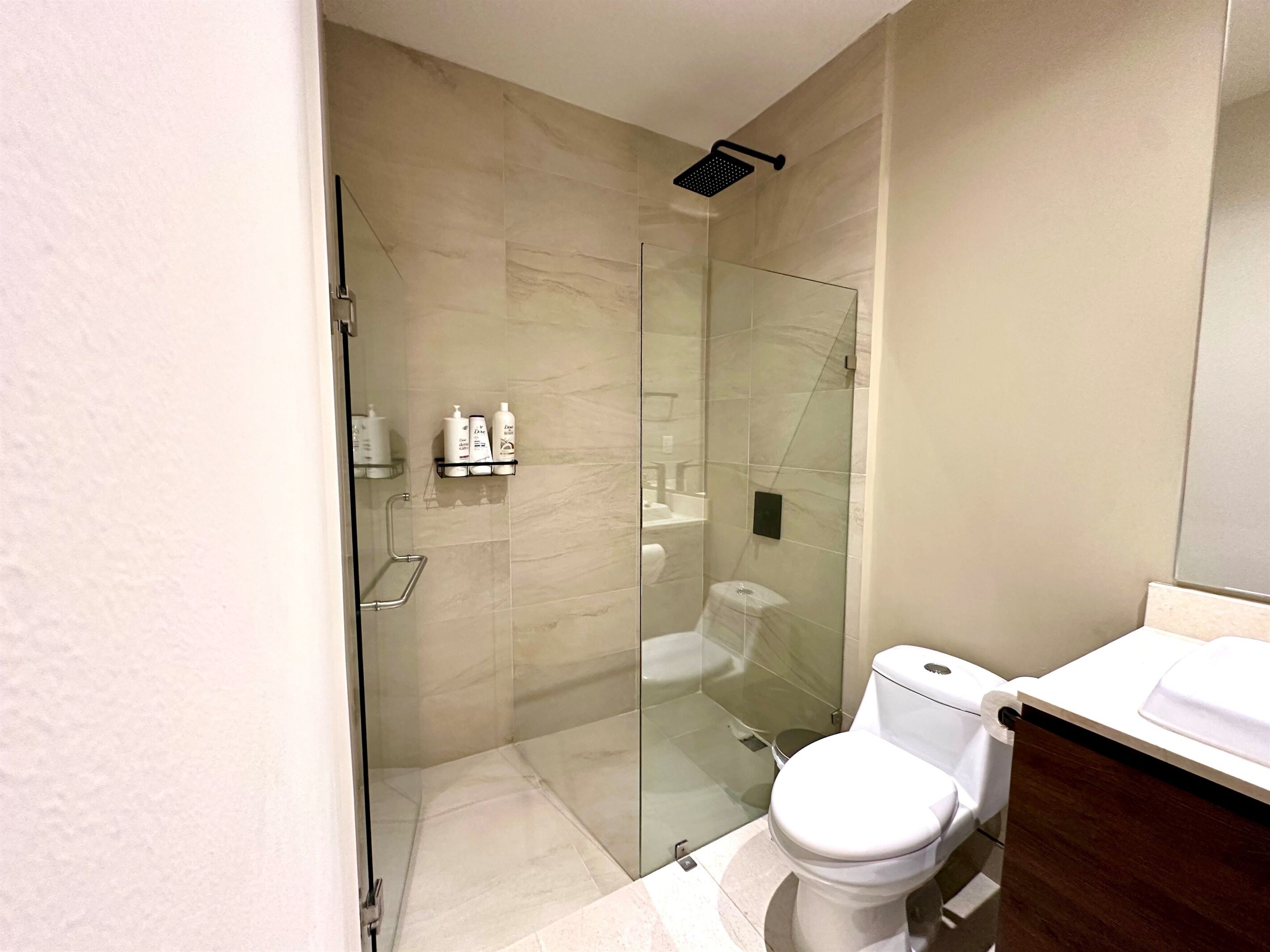 A modern bathroom with a glass-enclosed shower, a white toilet, and a wooden vanity.