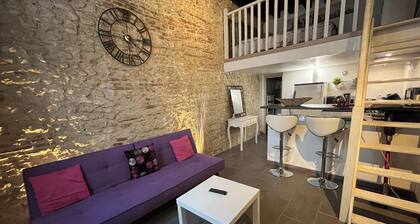 Cosy duplex en plein coeur d'Orléans au calme dans rue piétonne prox Cathédrale