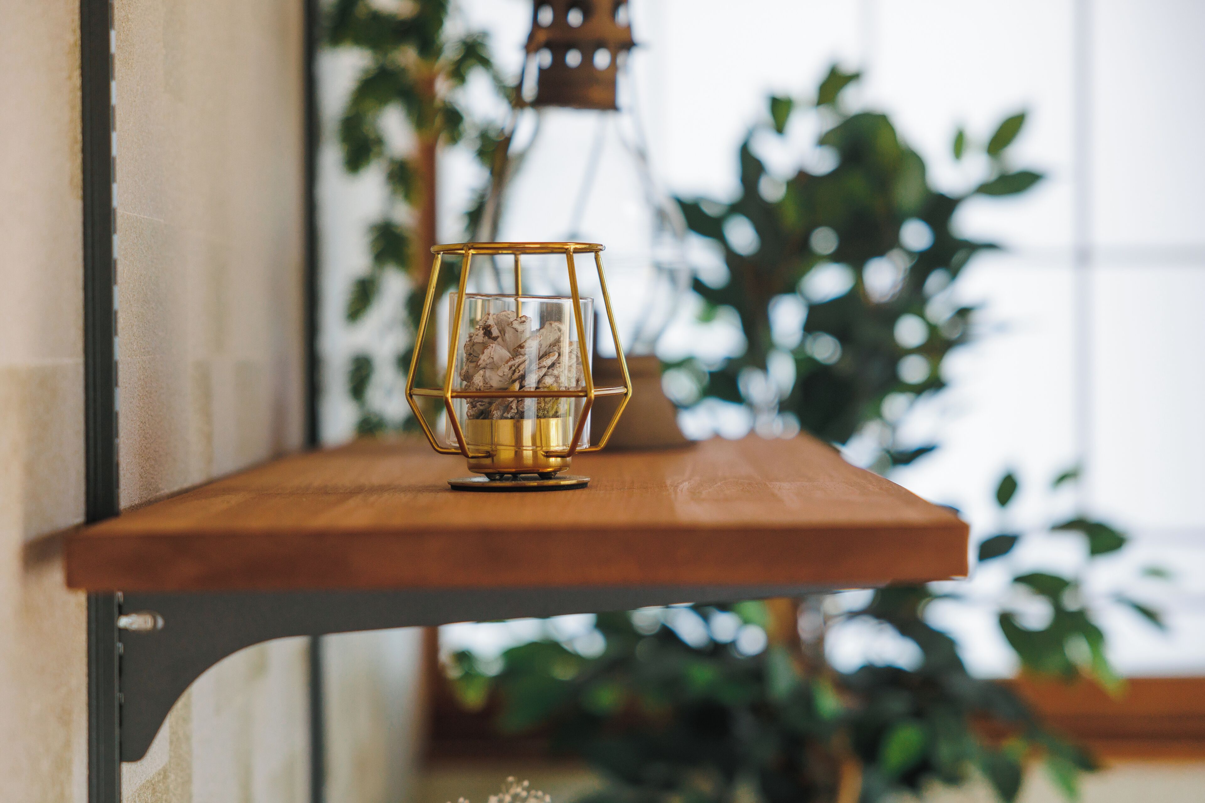 A candle holder on a wooden shelf with a plant in the background.