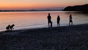 Escena de playa al atardecer con gente y un perro.
