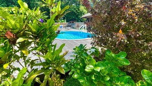 Una piscina circondata da vegetazione rigogliosa e un pontile di legno.