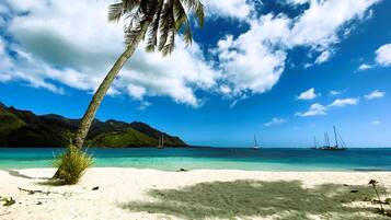 Plage à proximité