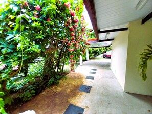 Property grounds - TAHITI - Vetea POOL Fare (Pirae)