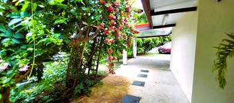 TAHITI - Vetea POOL Fare