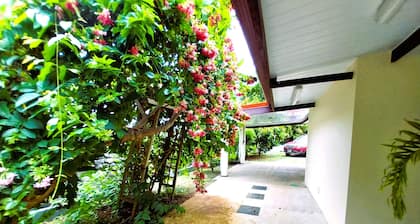 TAHITI - Vetea POOL Fare