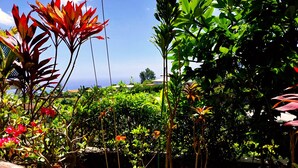 A lush garden with various plants and flowers, a wooden fence, and a view of the ocean in the background. - TAHITI - Terevete Pool Studio (Arue)