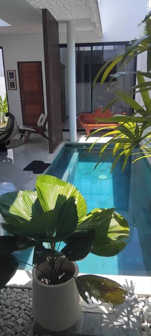 Un área de piscina interior moderna con una barrera de vidrio transparente, una planta en maceta en primer plano y un banco de madera al fondo.