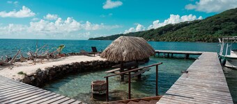 TAHAA - Fare TIPANIER