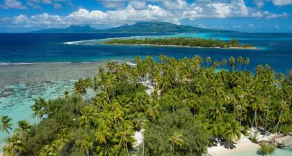 RAIATEA - Fare Coconut