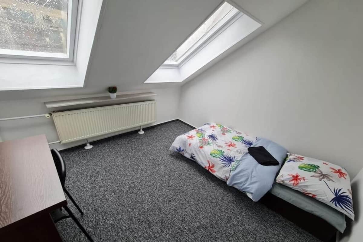 Habitación clásica, 1 cama individual | Escritorio, tabla de planchar con plancha, wifi gratis