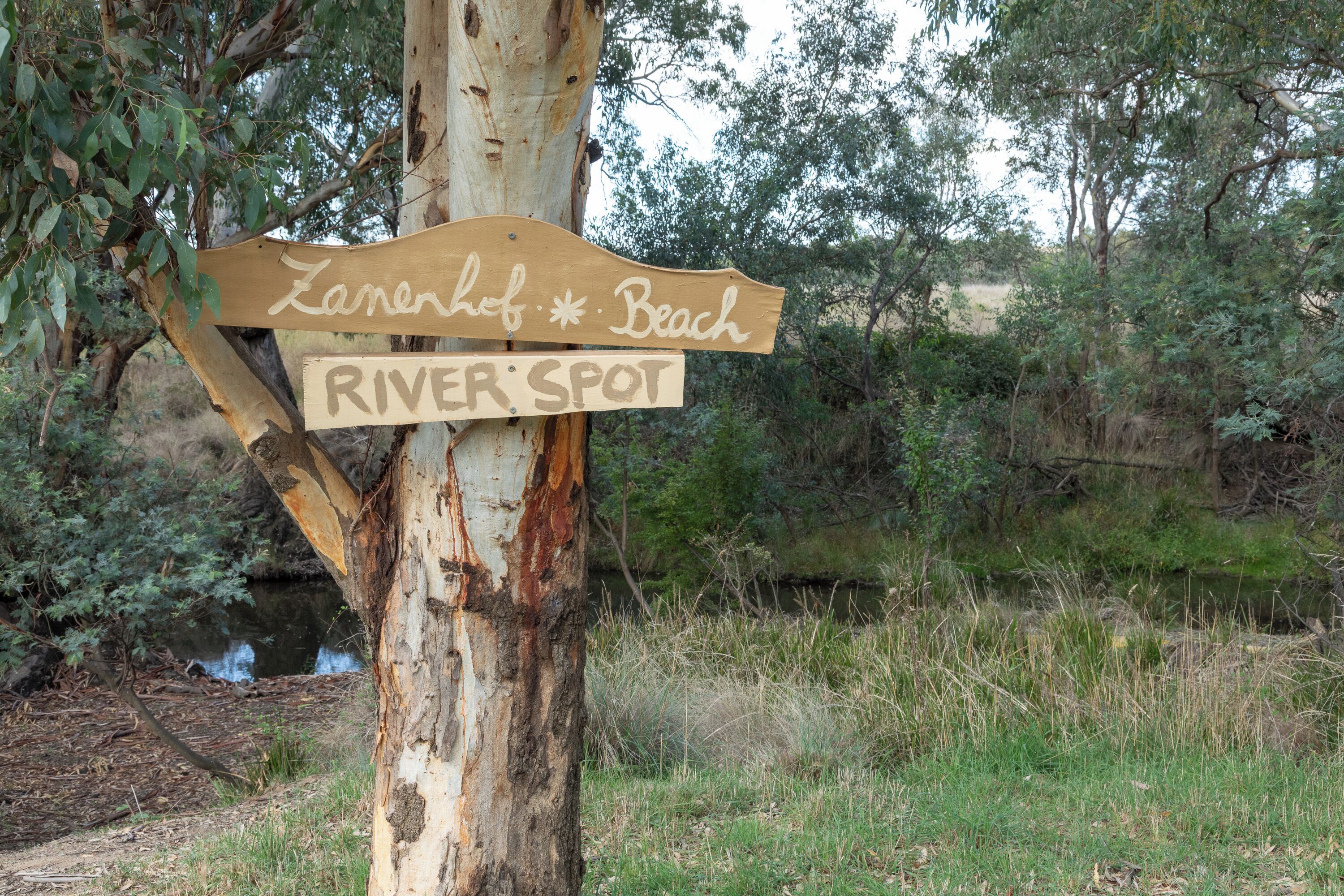 A wooden sign with the text 'Zanefich Beach River Spot' attached to a tree.