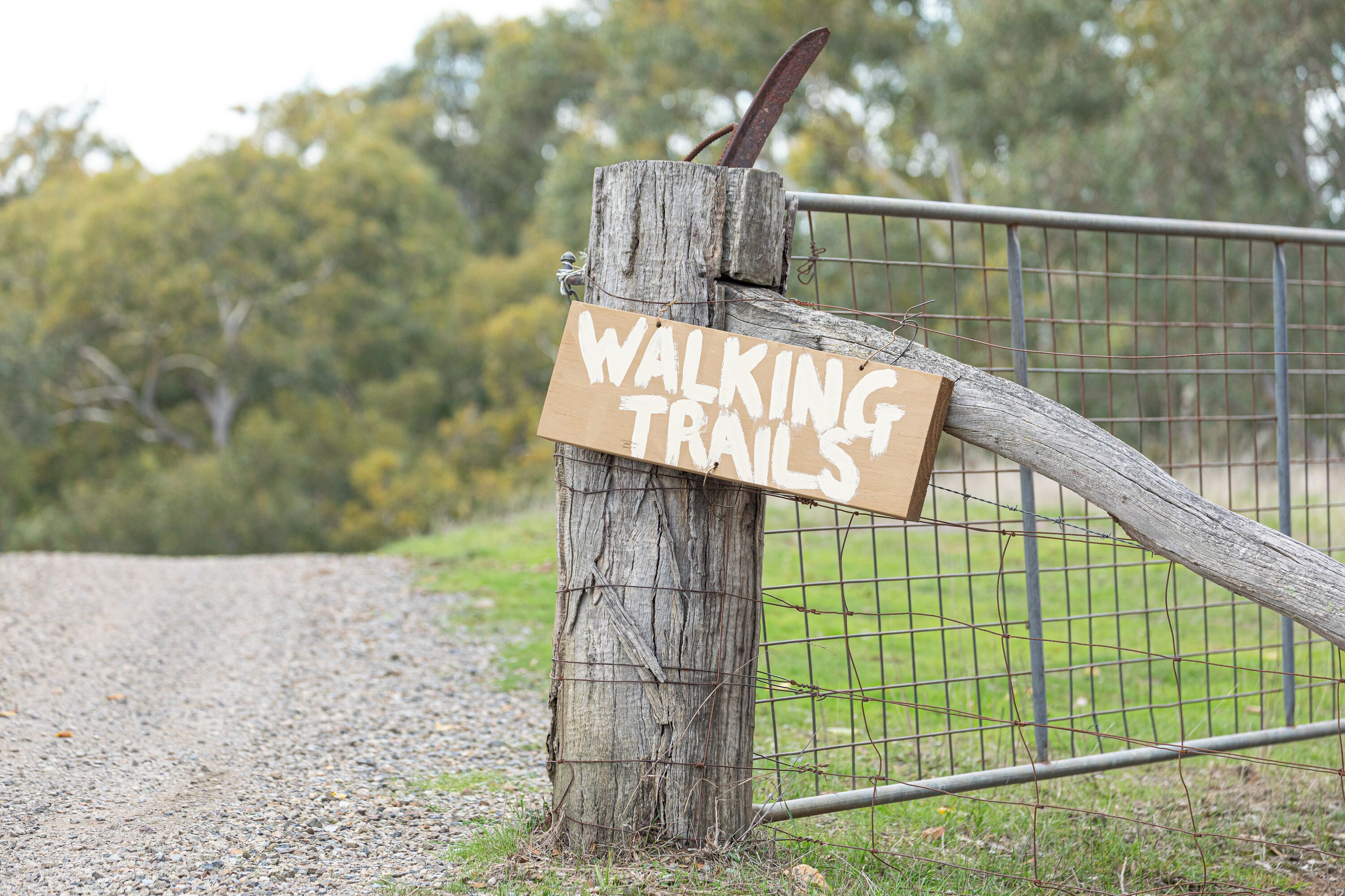 Àrea exterior de l'allotjament