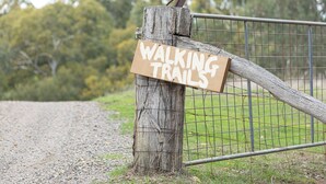 A wooden post with a sign that reads 'WALKING TRAILS' attached to a metal fence.