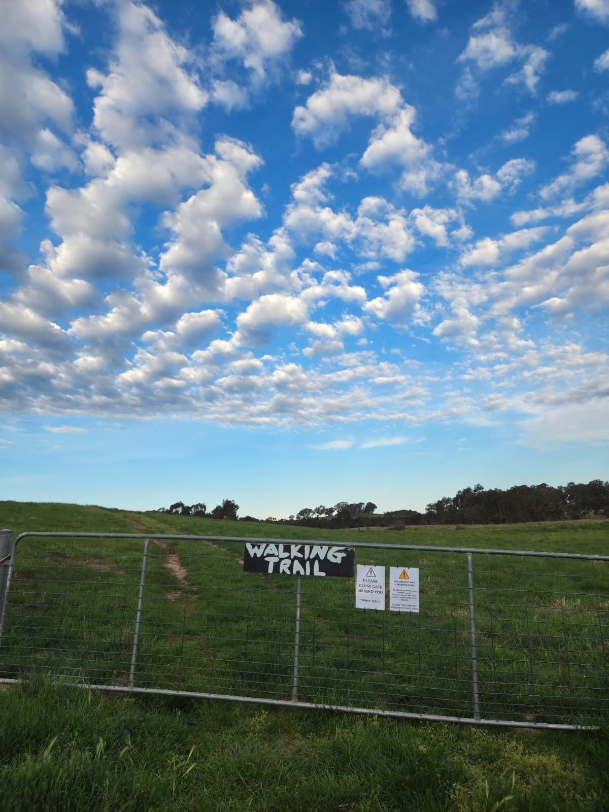 Àrea exterior de l'allotjament