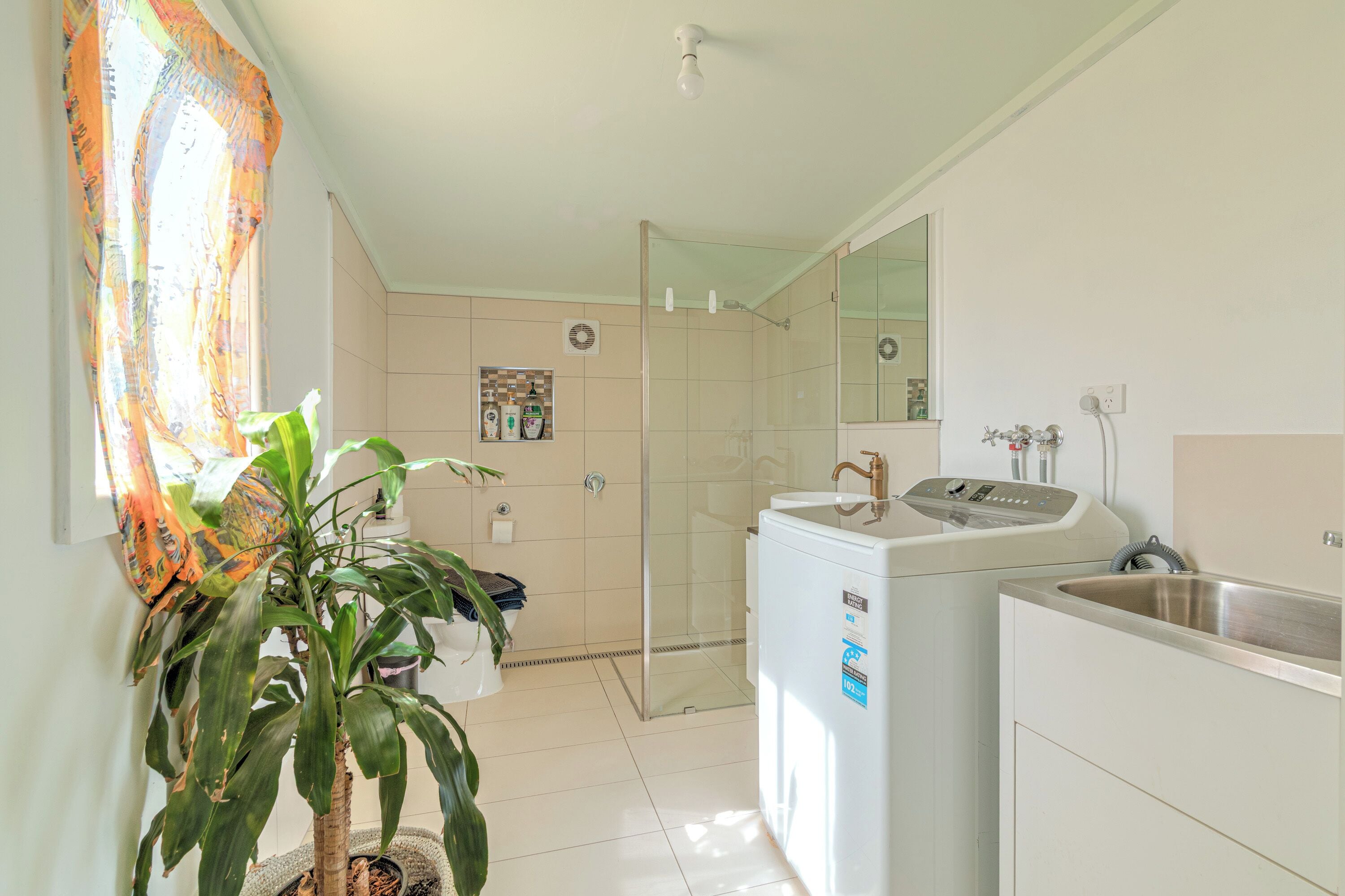 A bathroom with a shower, a sink, a mirror, and a potted plant.
