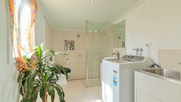 A bathroom with a shower, a sink, a mirror, and a potted plant.