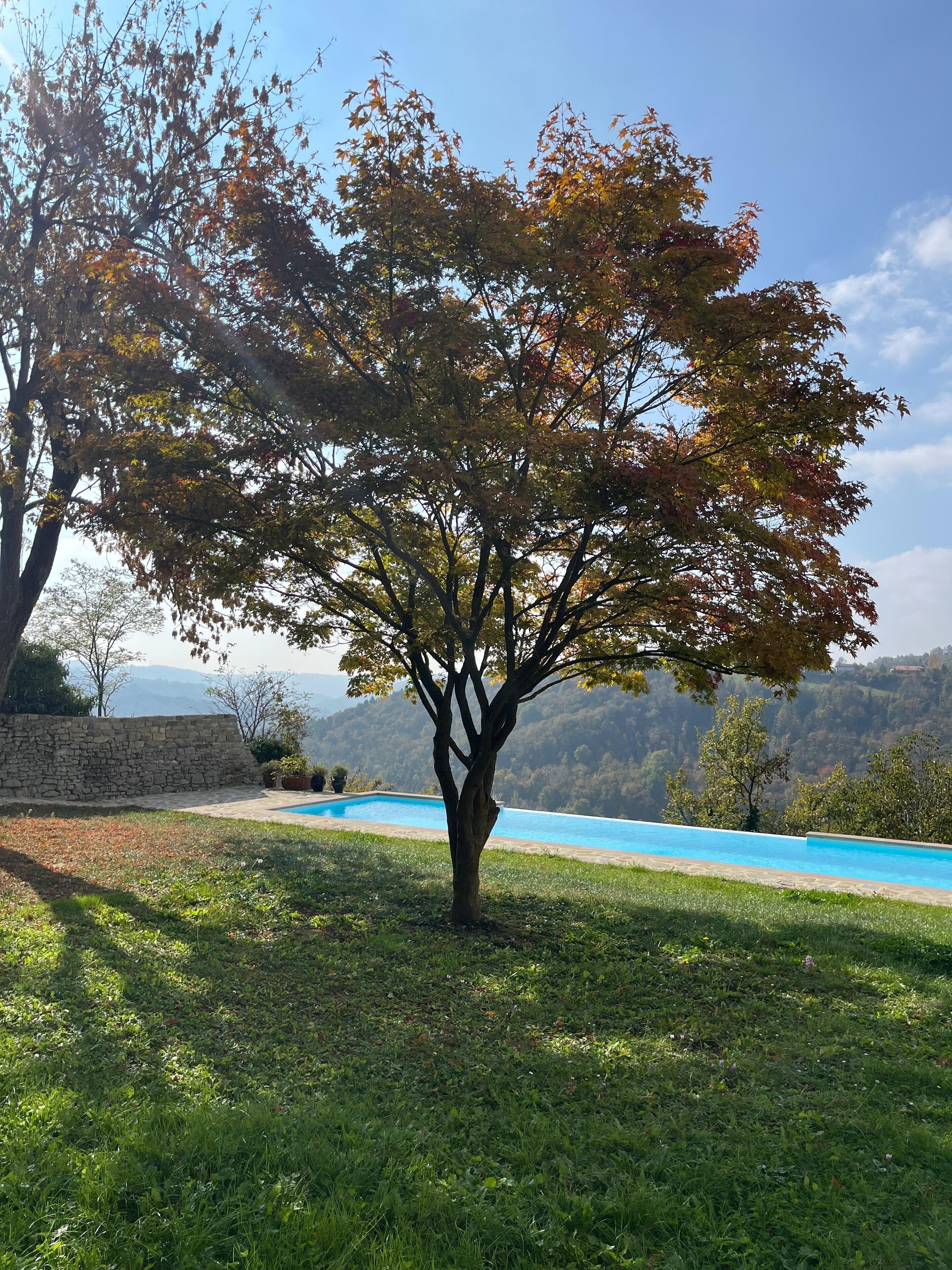 Un espace piscine bordé d’arbres, avec un mur en pierre et une vue sur les collines lointaines.