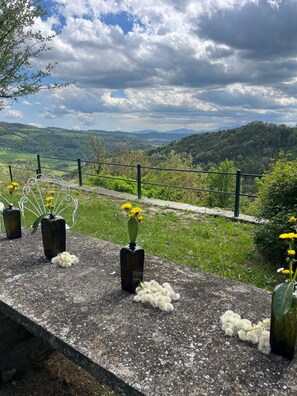 Property grounds - Villa with garden and pool. Unmissable view of the Langhe 200m from the village. (Bossolasco)