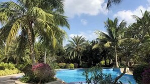 A swimming pool surrounded by palm trees and lush greenery. - Qionghai Bozha Baiyuewan Zhenru Hotel (Qionghai)