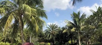 Qionghai Bozha Baiyuewan Zhenru Hotel