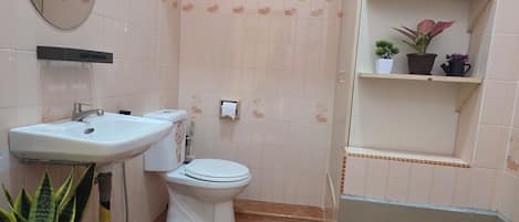 A small bathroom with a sink, toilet, and a shelf with potted plants.