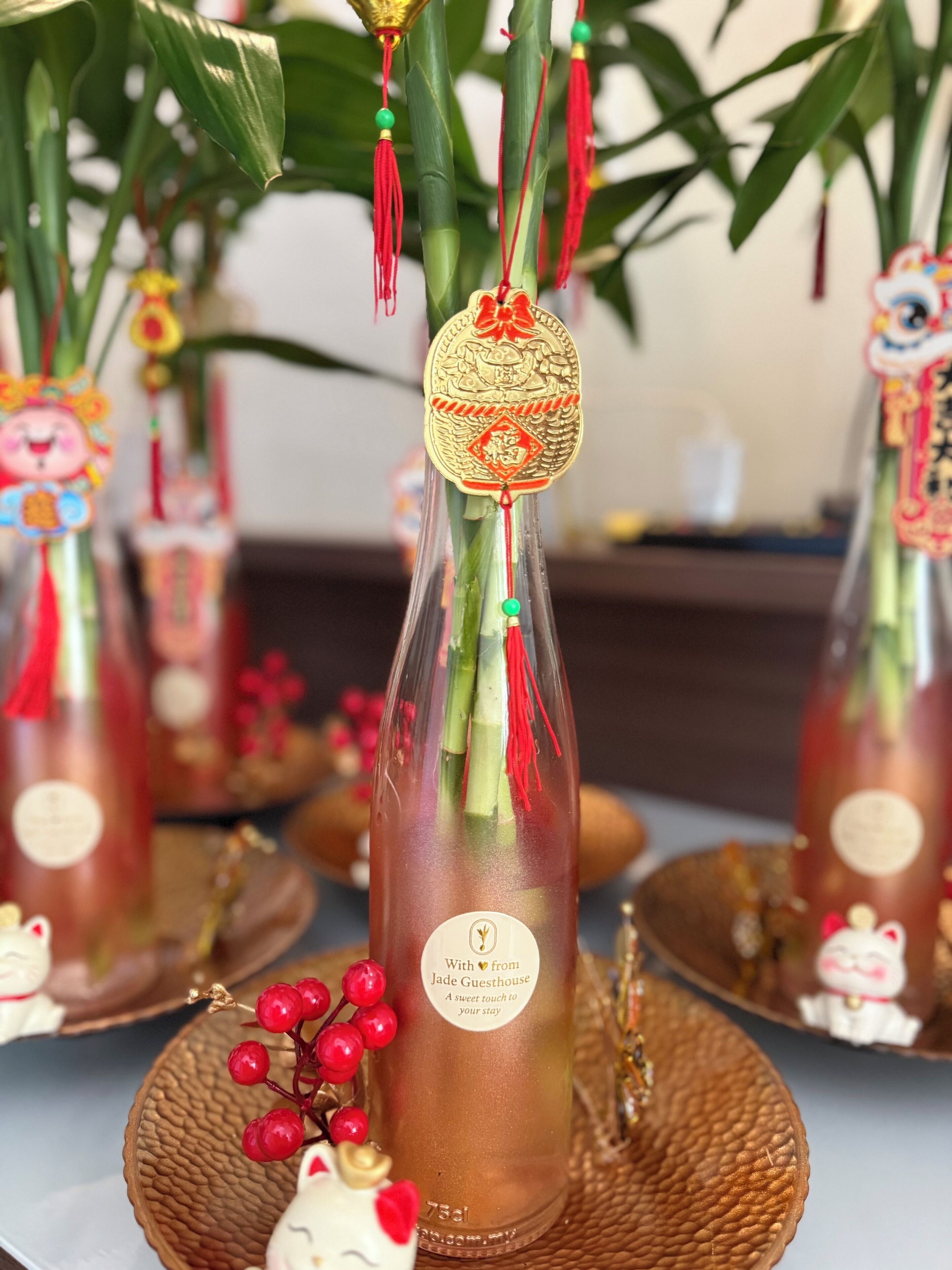 Donzen dekbedden, individueel gedecoreerd, individueel gemeubileerd