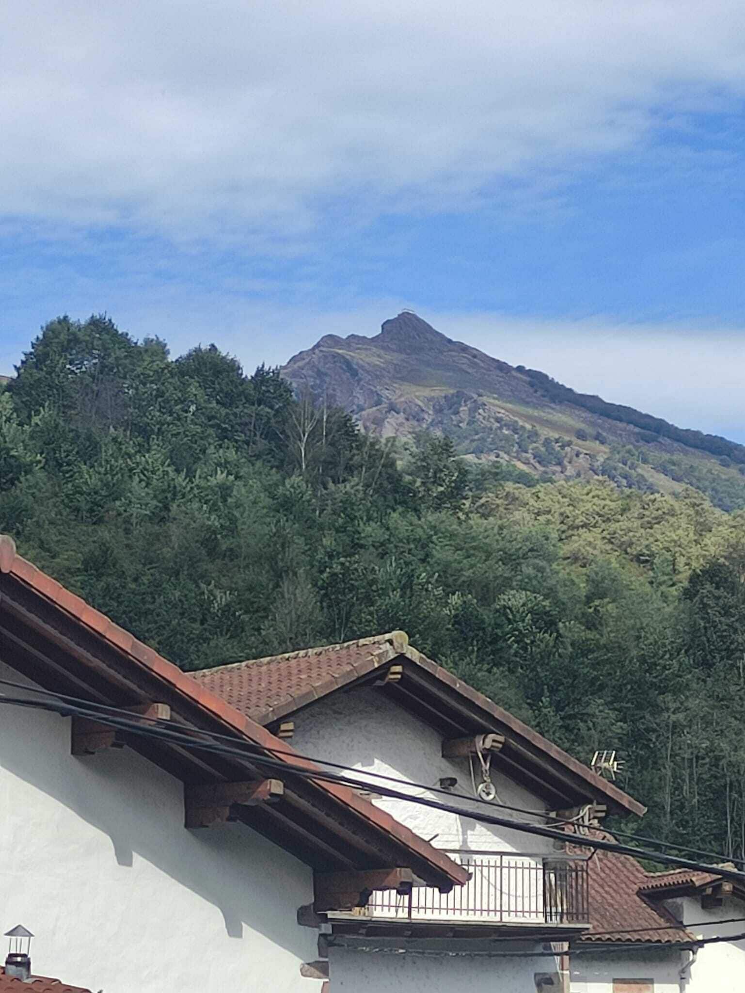 Standard Double or Twin Room, Mountain View