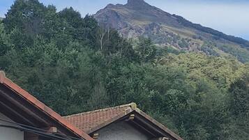 Standaard kamer, 1 twee- of 2 eenpersoonsbedden, uitzicht op bergen