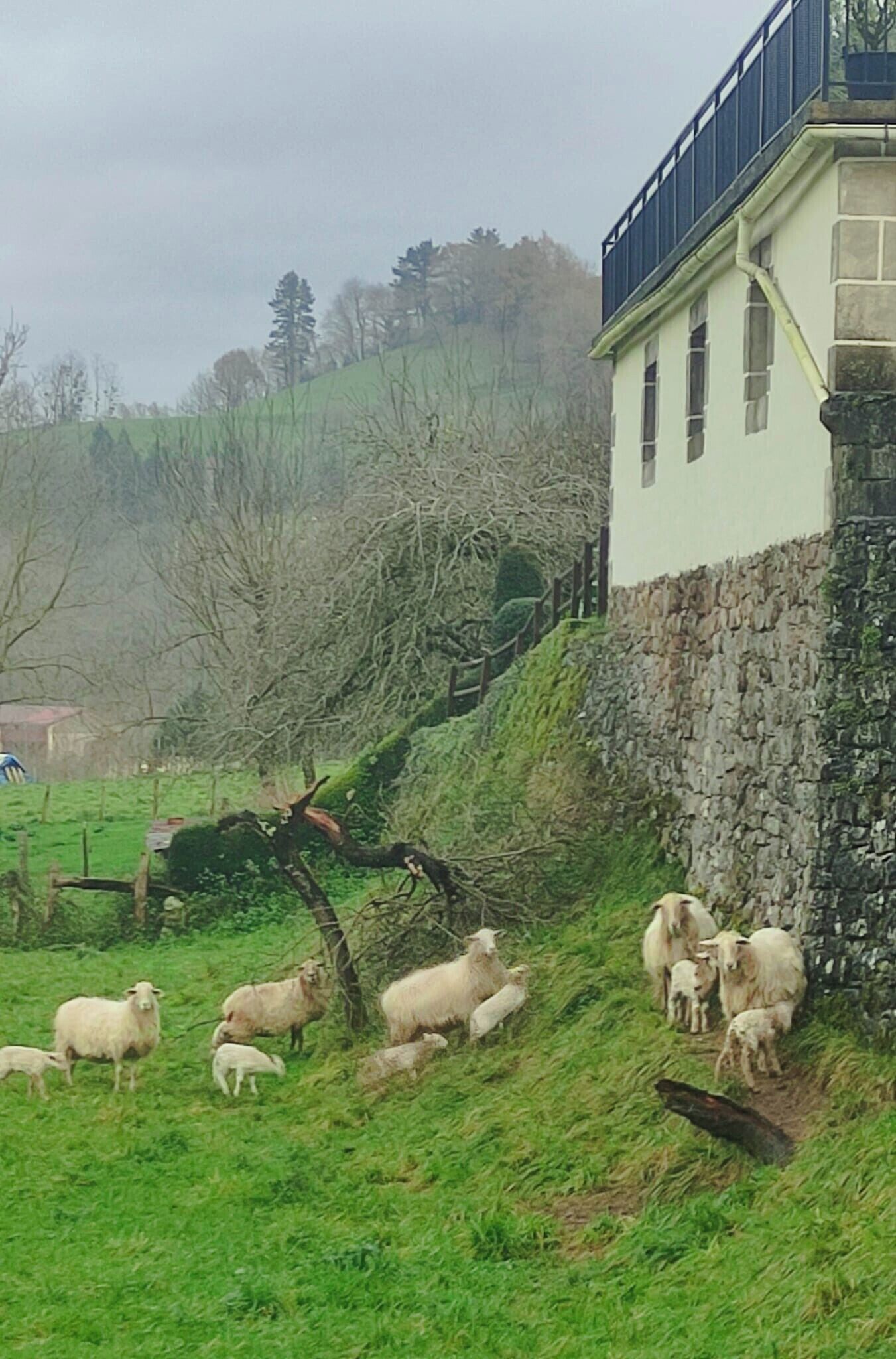 A rural landscape with a stone wall and a building with a balcony.