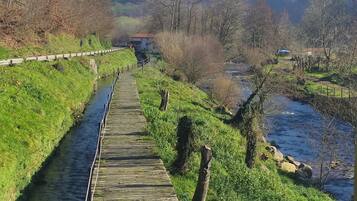 A wooden boardwalk along a river, surrounded by greenery and hills.