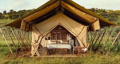 Malaika Ndutu Migration Camp