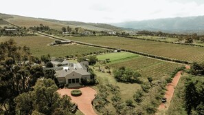Luxury House, Vineyard View | Interior - 13 Olives Somerset West (Somerset West)