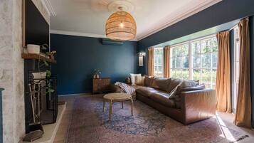 TV, fireplace, table tennis