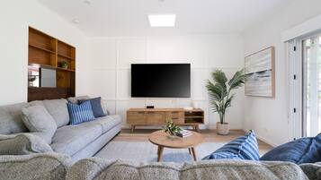 TV, fireplace, books