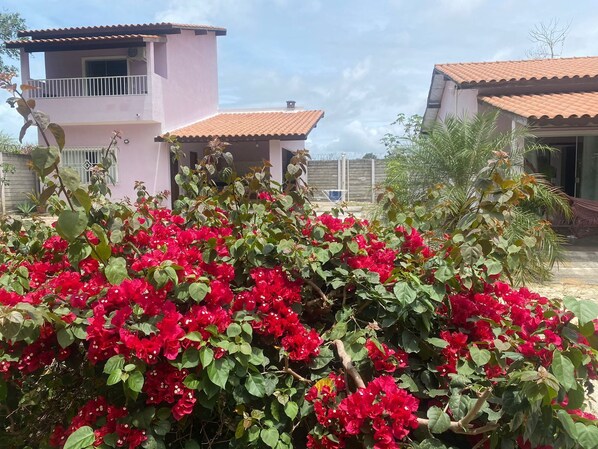 المنطقة المحيطة بالمنشأة