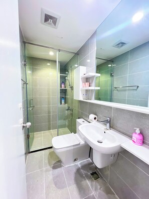 Shower, hair dryer, bidet, towels