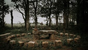 A stone bench with a basket in the center, surrounded by evenly spaced stones, set in a forested area.
