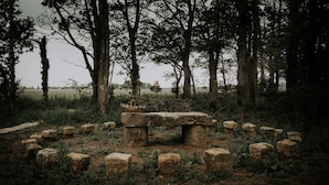 Un banc en pierre avec un panier au centre, entouré de pierres disposées à intervalles réguliers, le tout situé dans une zone boisée.