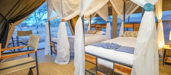 玛莱卡马拉河迁徙营地