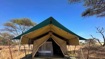 Uma tenda com teto verde e paredes bege, situada em uma paisagem árida e aberta com árvores esparsas.