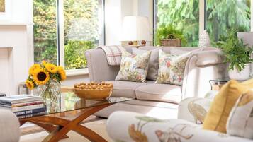 Älytelevisio, takka, stereot, tulostin