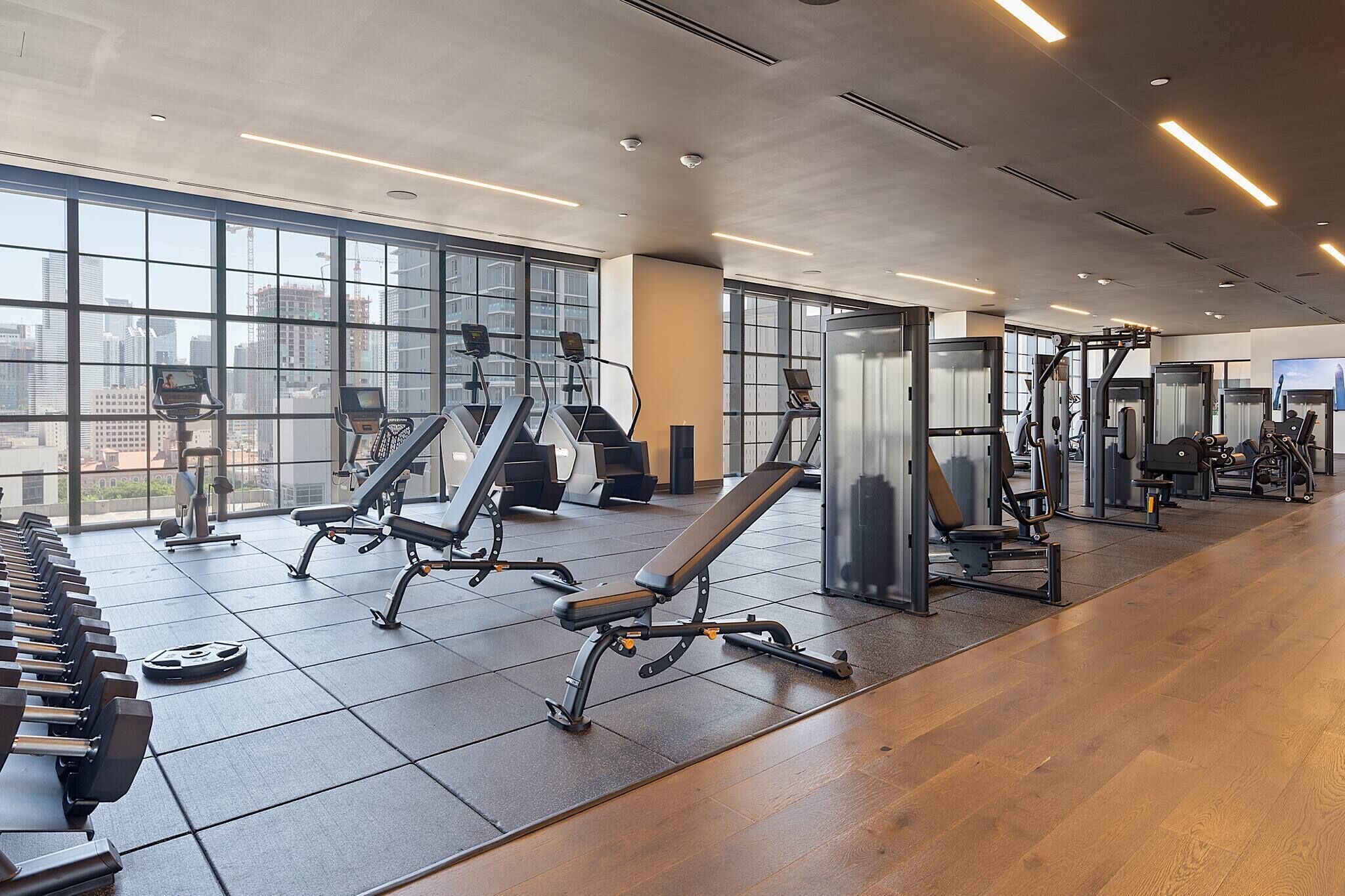 A modern gym with cardio machines, weight benches, and free weights.