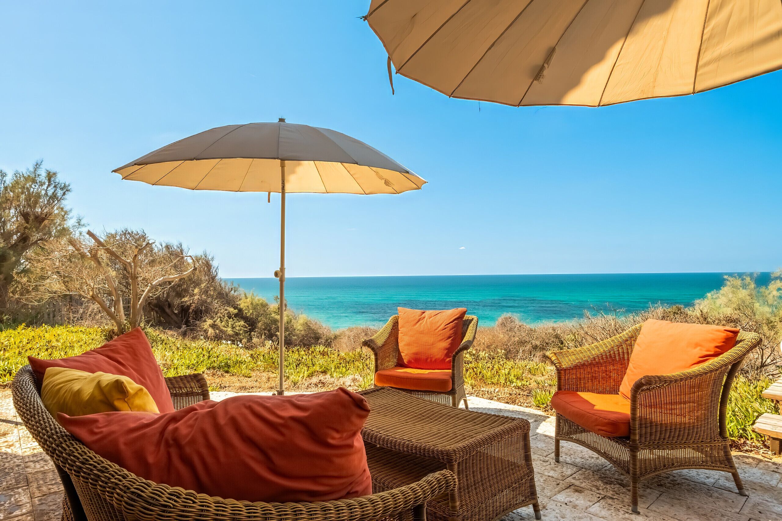 テラス / パティオ